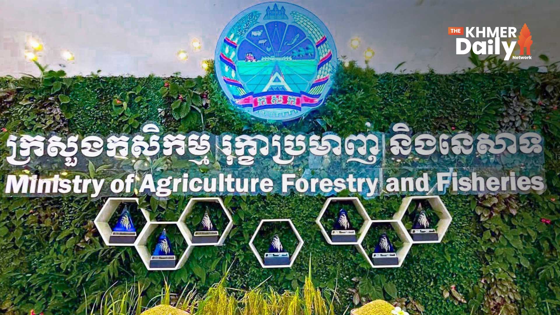 Premium Quality Drives Chinese Demand for Cambodian Rice, Farmers Reap Benefits