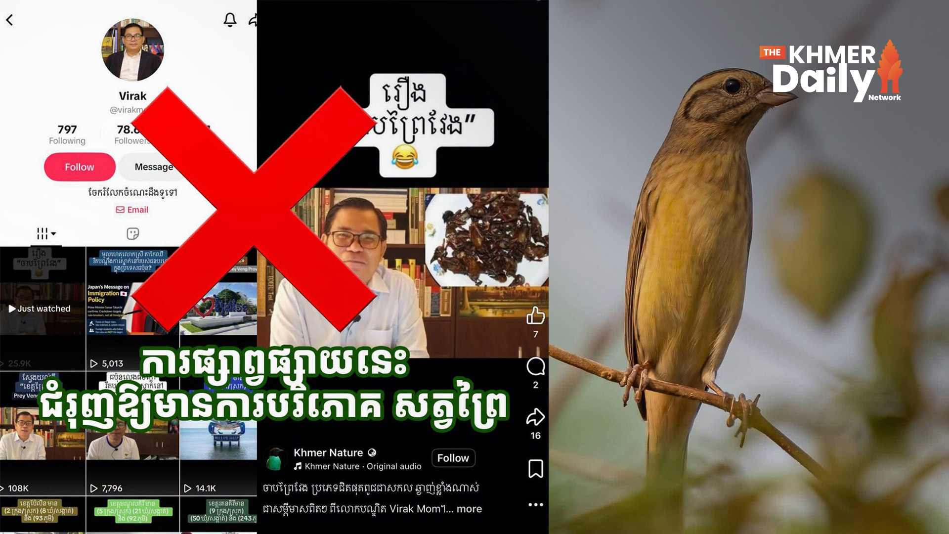 ក្រសួងបរិស្ថាន ប្រតិកម្មខ្លាំងៗចំពោះអ្នកផលិតមាតិកា TikTok ដែលជំរុញឱ្យបរិភោគសត្វ «ចាបព្រៃវែង» ជាសត្វជិតផុតពូជបំផុតលើលោក