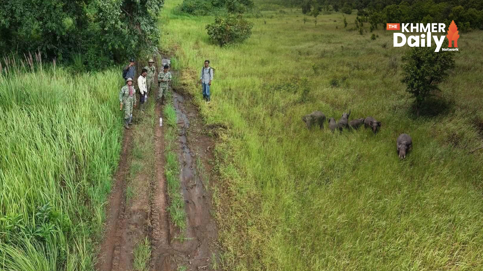 Wild Elephant Herd Spotted Near Villages in Preah Vihear, Authorities Monitor Movement