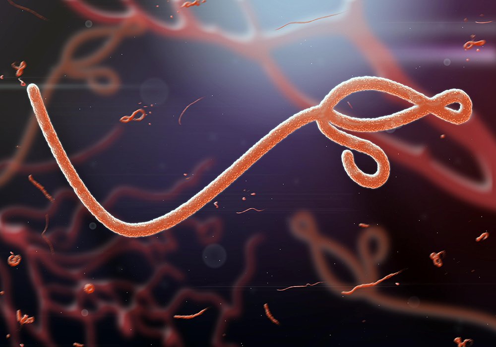 ebola-3_LnyTLsBuxG.jpg ebola-3_LnyTLsBuxG.jpg