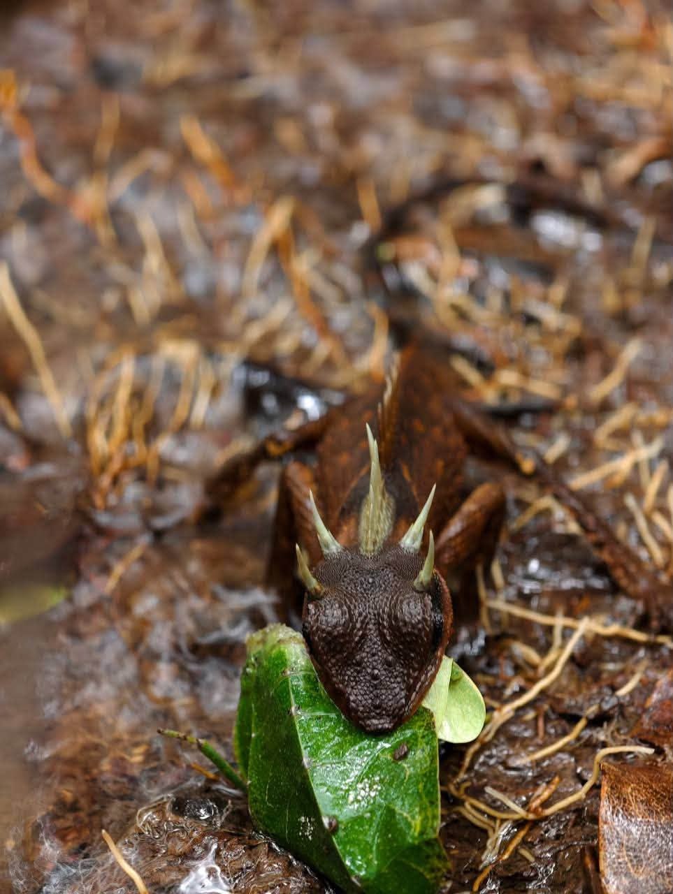 Photo Credit: Ministry of Environment